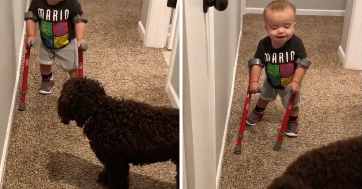 2-Year-Old Who Defied The Odds By Learning To Walk Has The Purest Interaction With His Dogâ€”And Now We're Crying ðŸ˜­