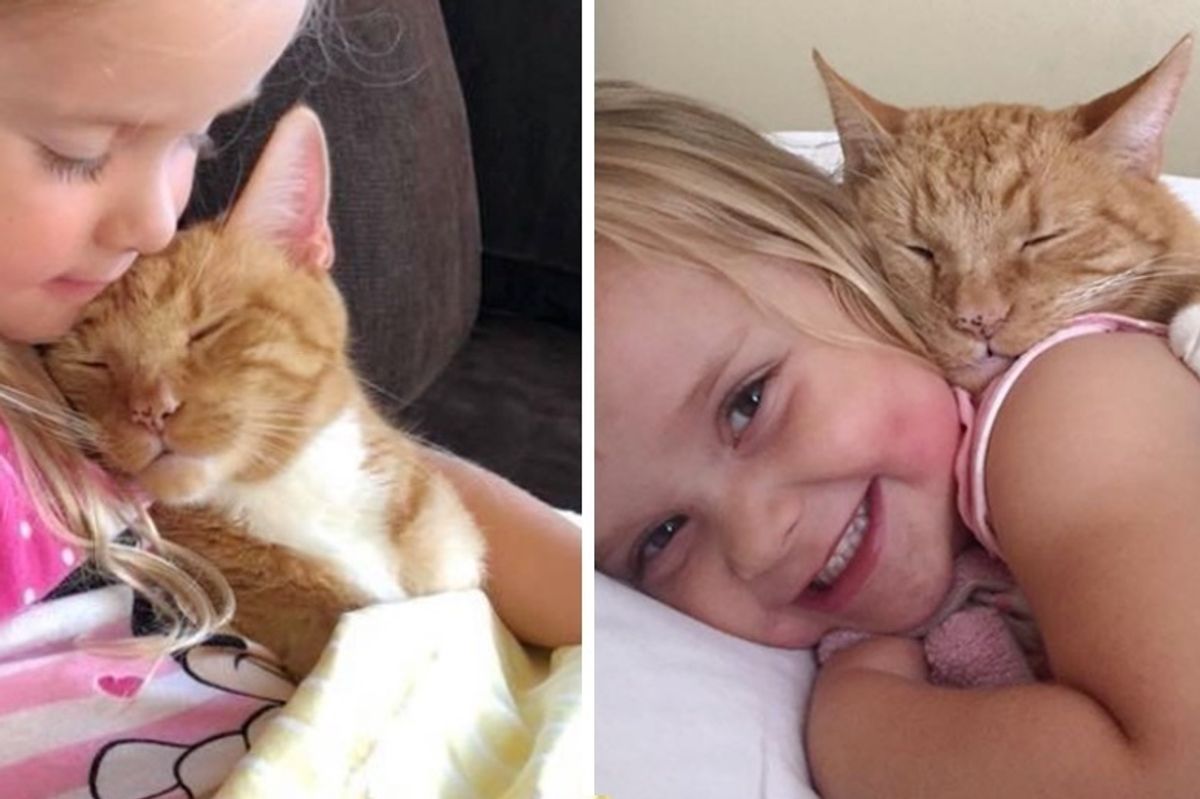 Woman Gave Kitten a Home, 13 Years Later, He Guards Her Daughter and Listens When She Reads