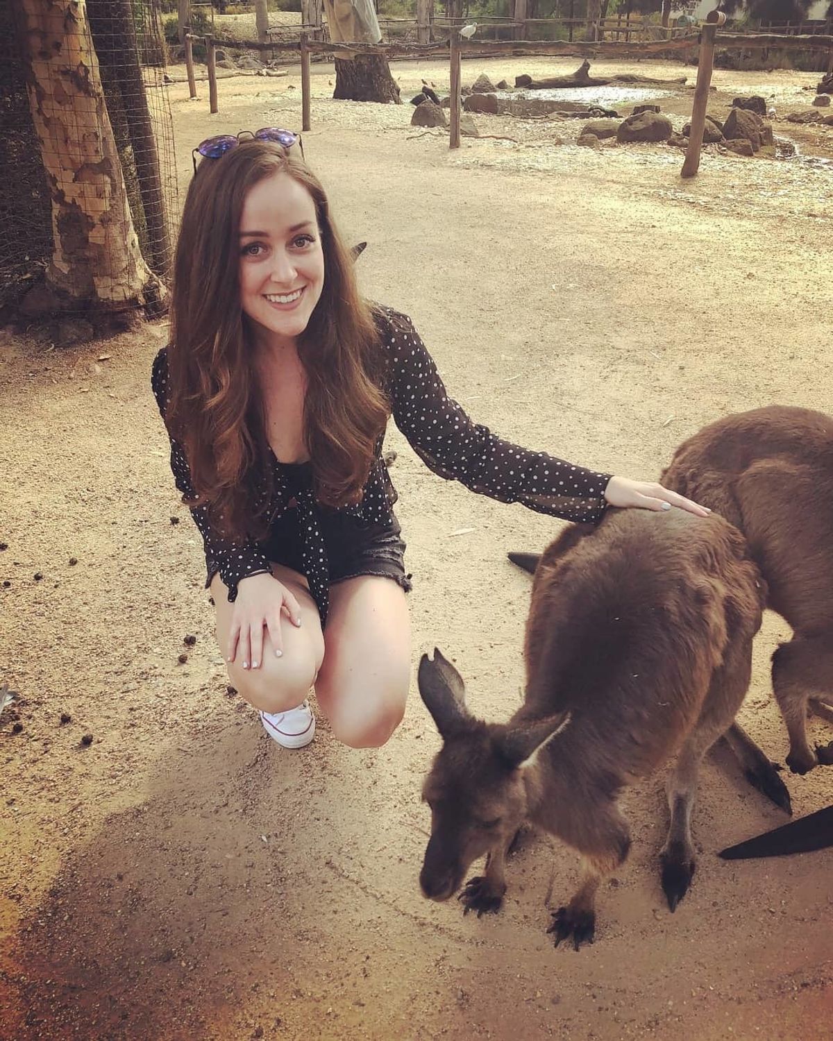 Meet Sarah Foulke - Optoro's Corporate Marketing Manager