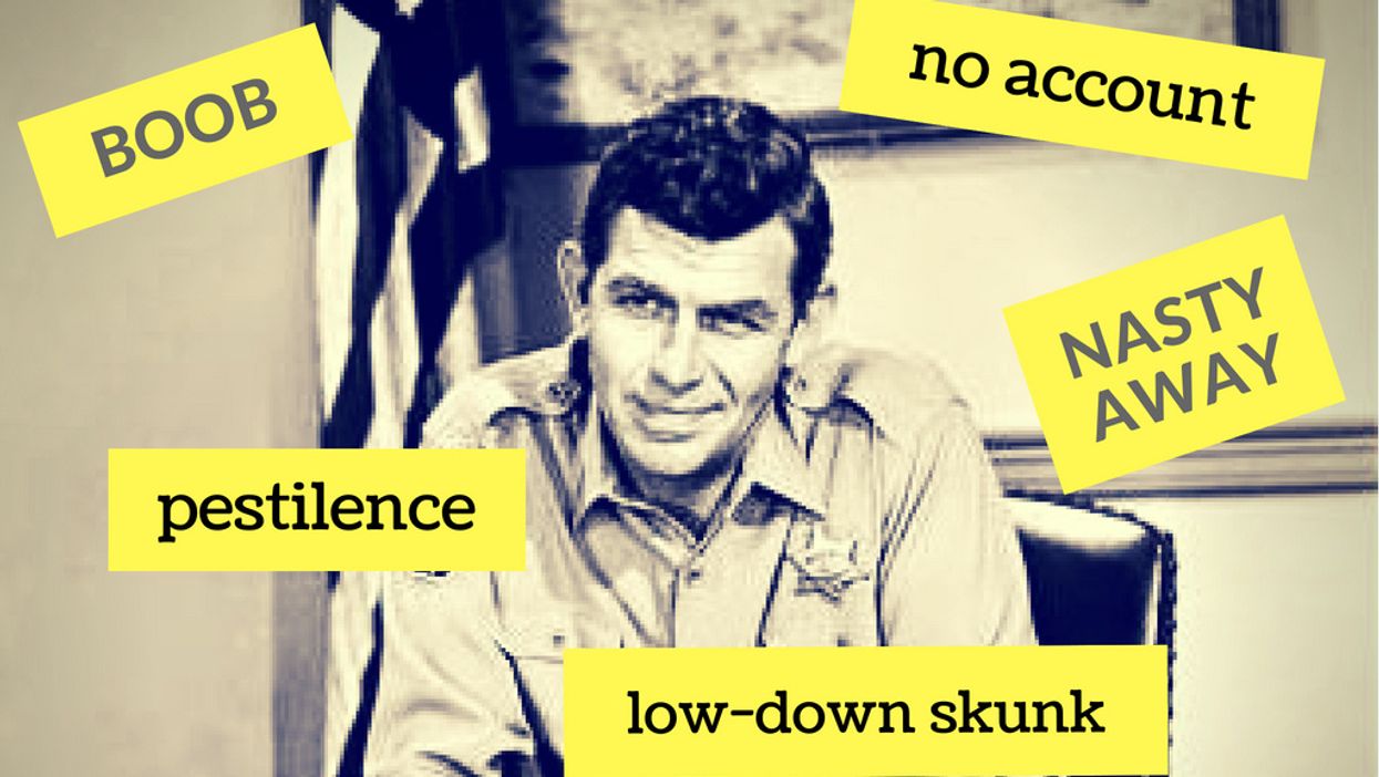 The best southern insults from 'The Andy Griffith Show'