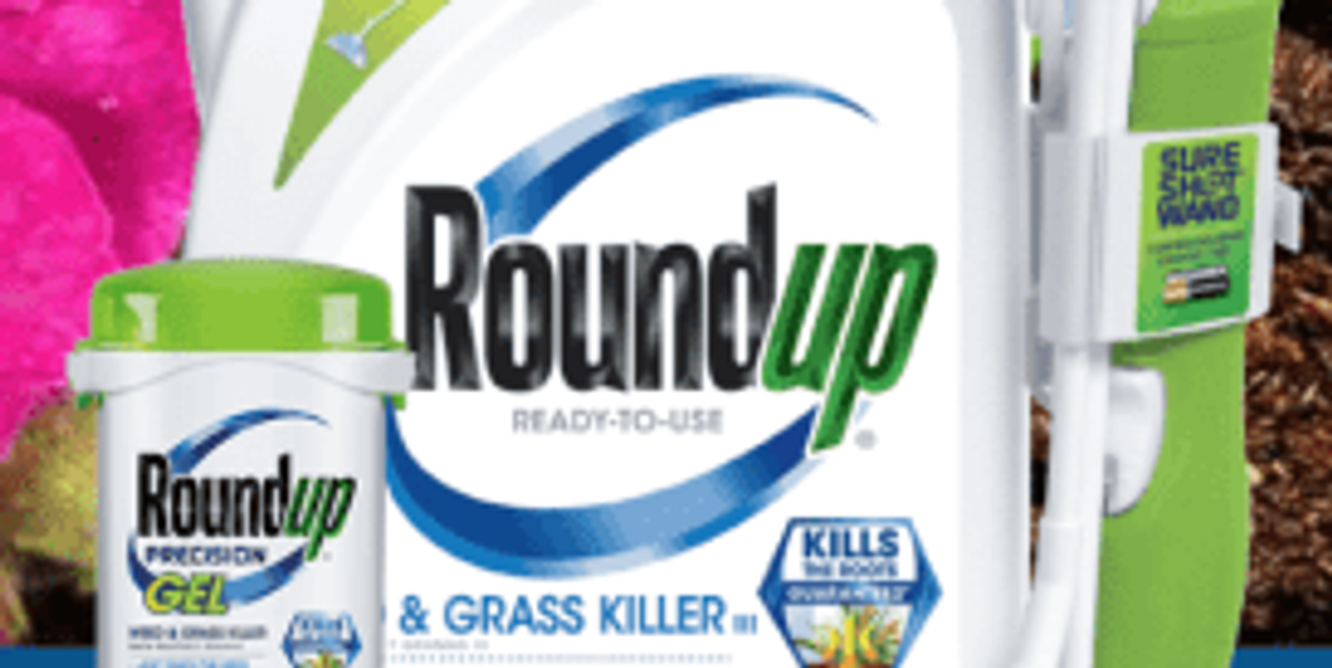 Monsanto scientist denies Roundup cancer link in trial