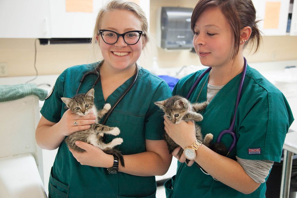 10 Thoughts I’ve Had As A Veterinary Assistant