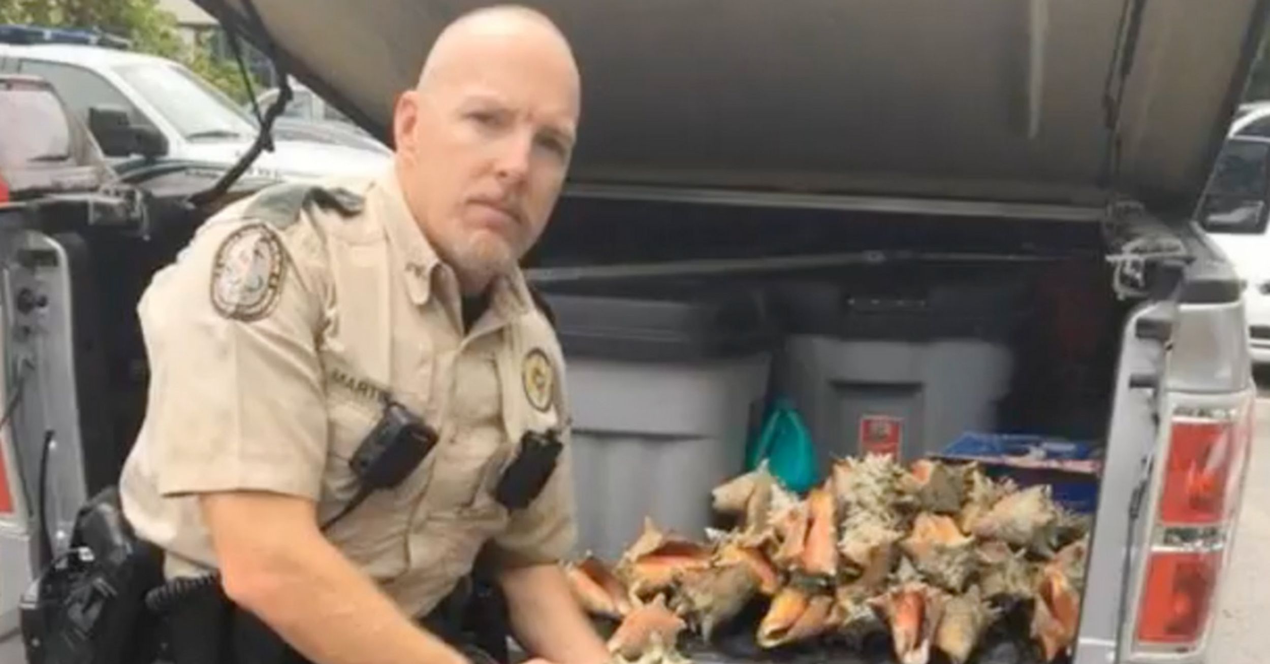 Why This Woman Was Arrested For Collecting Mollusks On The Beach In Florida Is A Surprise To Many
