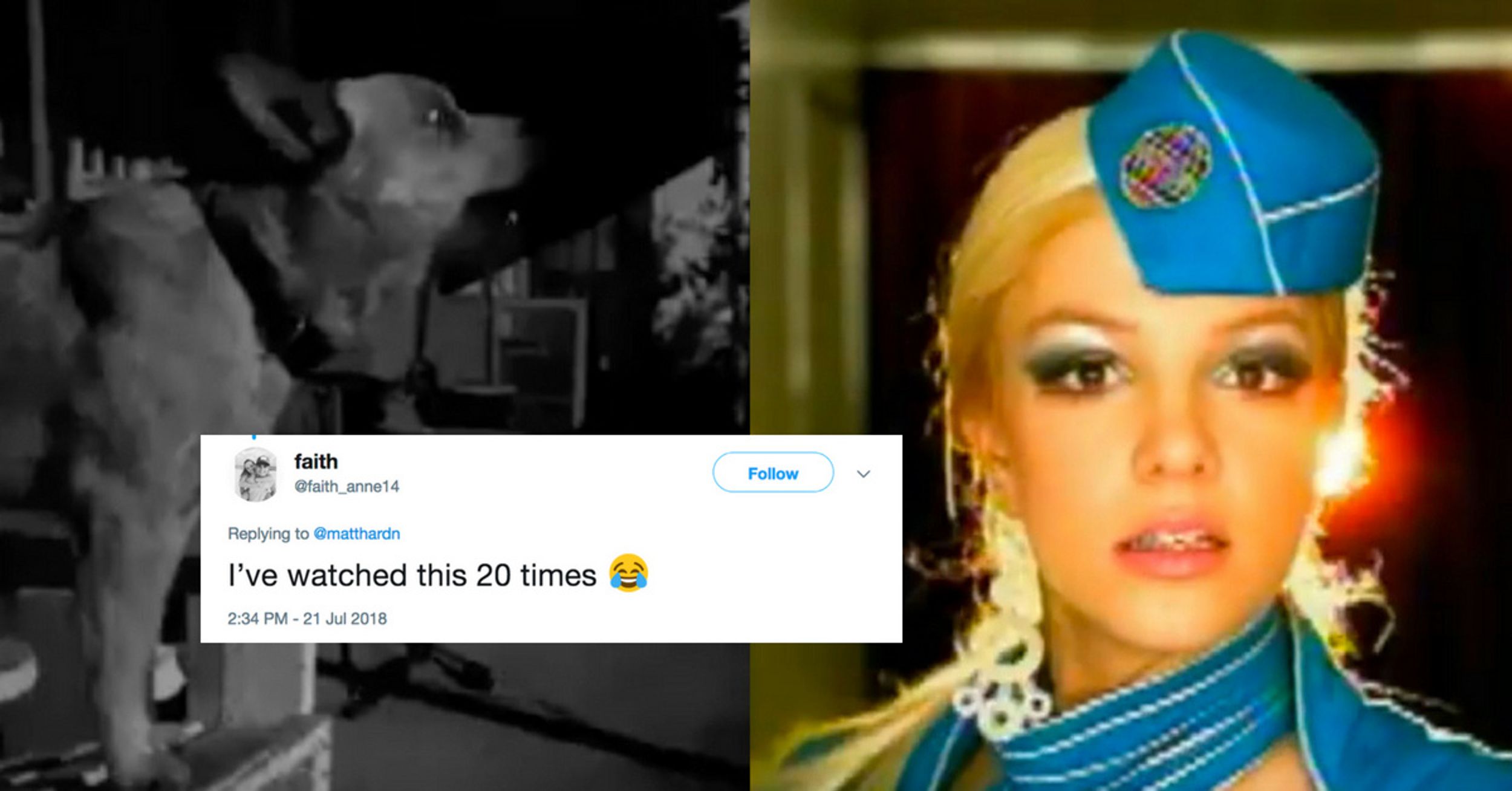 This Dog's Howl Sounds Exactly Like Britney Spears' 'Toxic'—And We're Listening To It On Repeat 😂