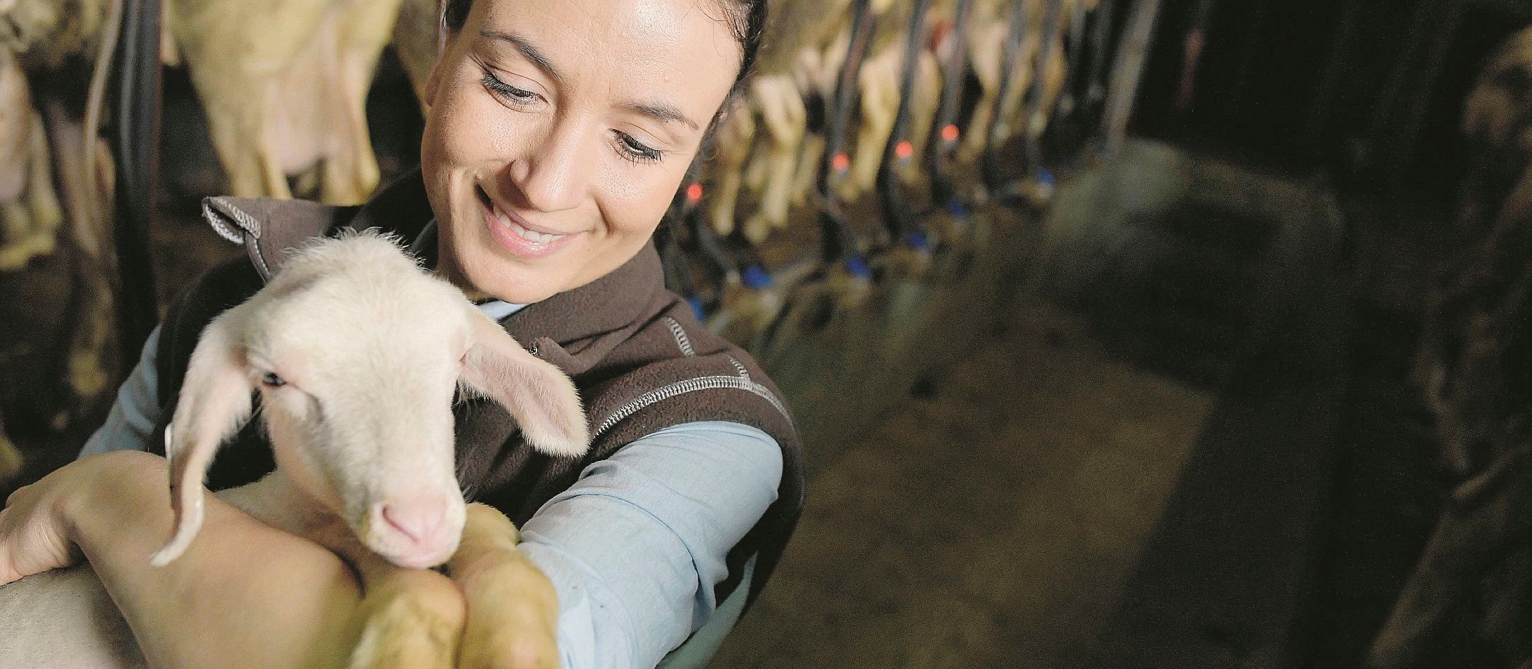 Altro che vegani: i primi veri animalisti sono gli allevatori