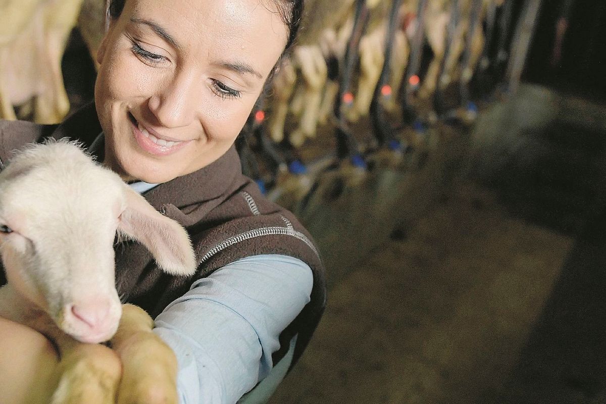 Altro che vegani: i primi veri animalisti sono gli allevatori