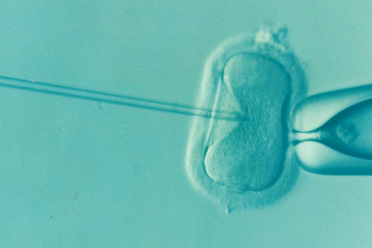 Quarant’anni fa la prima nascita da fecondazione artificiale: una data da festeggiare?