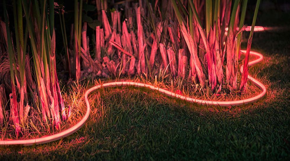 Picture of Philips Hue dimmable smart light strips outside in a garden at night