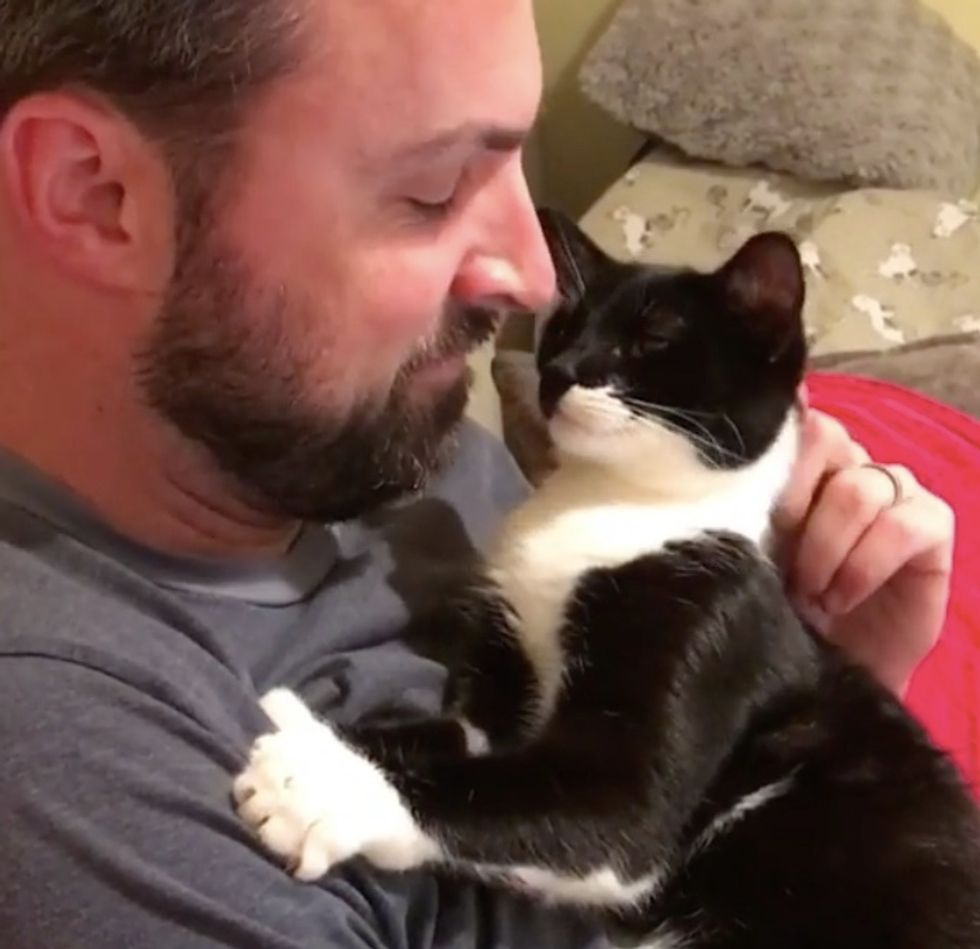 Cat Mama Finds Safe Home and Gets Help from Another Cat to Raise Her ...