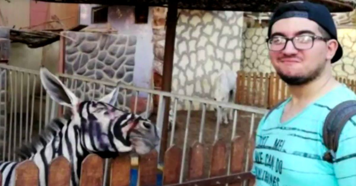 Someone Noticed That This Zoo's Zebra Wasn't Actually A Zebra At All
