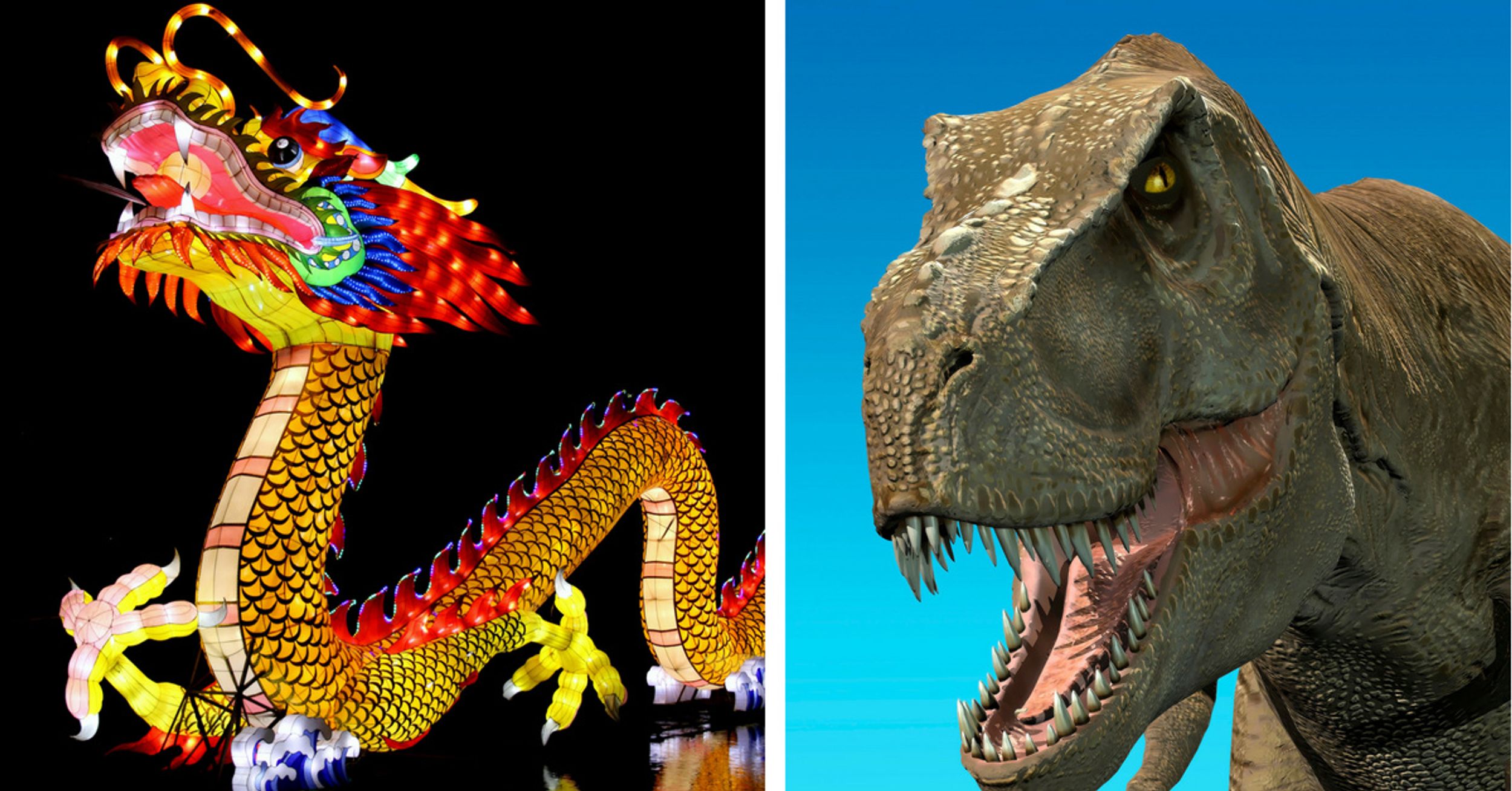 New Dinosaur Discovery Called 'Amazing Dragon' By Chinese Scientists