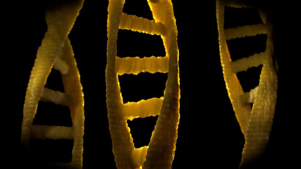 Dark DNA.