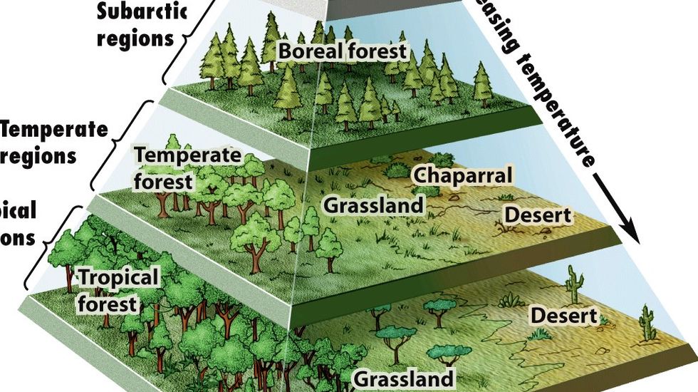 A Pyramid Map of the World’s Biomes