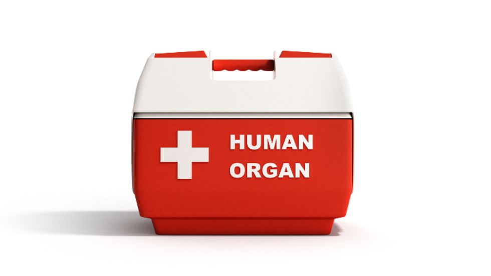 Organ carrier