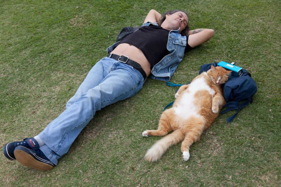 Why We Need More Sleep