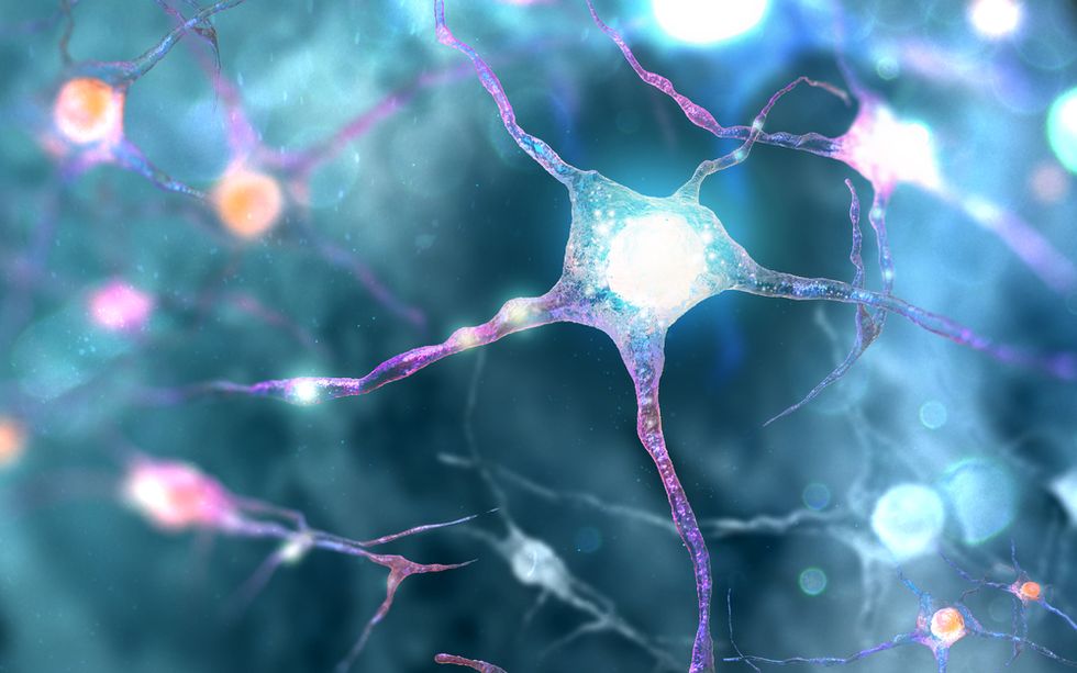 Scientists Discover Why Your Brain Can't Block Out Unwanted Thoughts