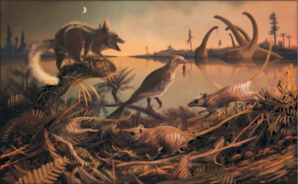 Prehistoric rodents depicted here are our earliest ancestors.