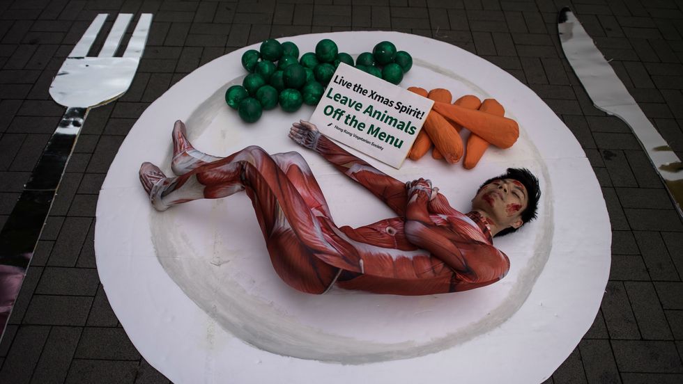 Why Vegetarians Should Be Prepared to Bend Their Own Rules