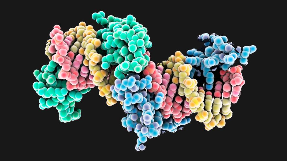 For The First Time, Genes Are Being Edited inside a Patient’s Body