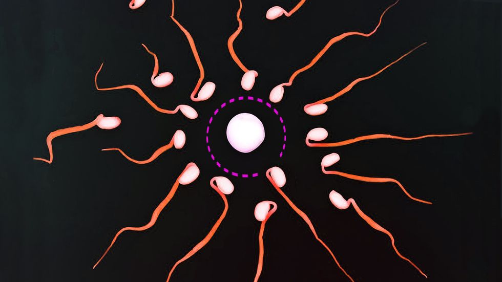 New study finds the egg may actually 'choose' the sperm
