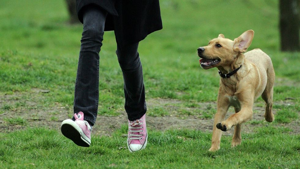 A girls running through the park with her dog. Photo: Matt Cardy/Getty Images
