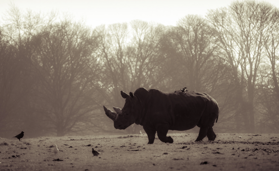 William Warby, Flickr & Creative Commons