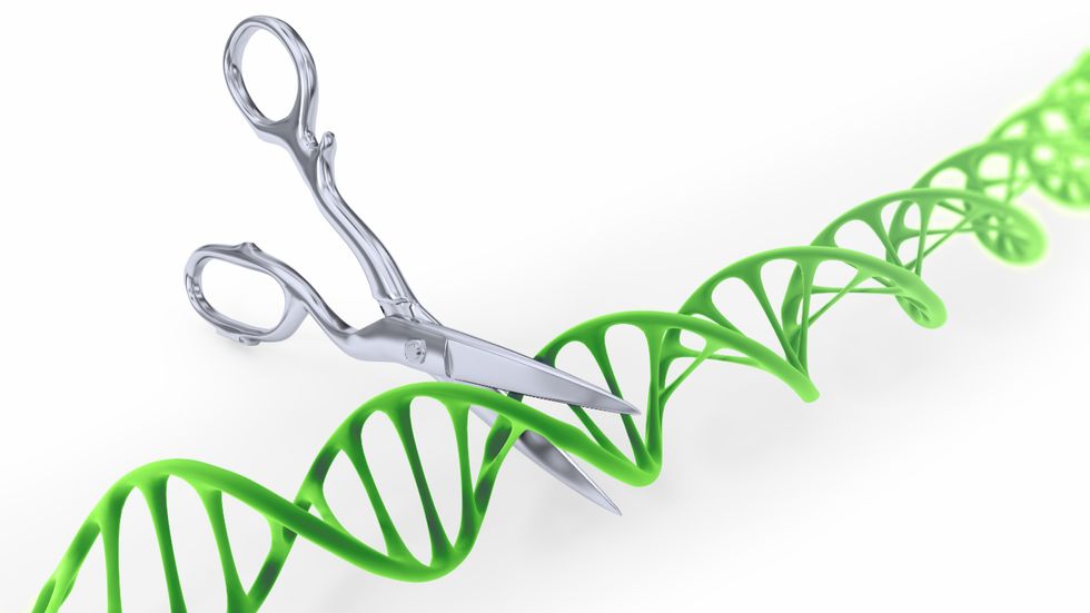 crispr snipper