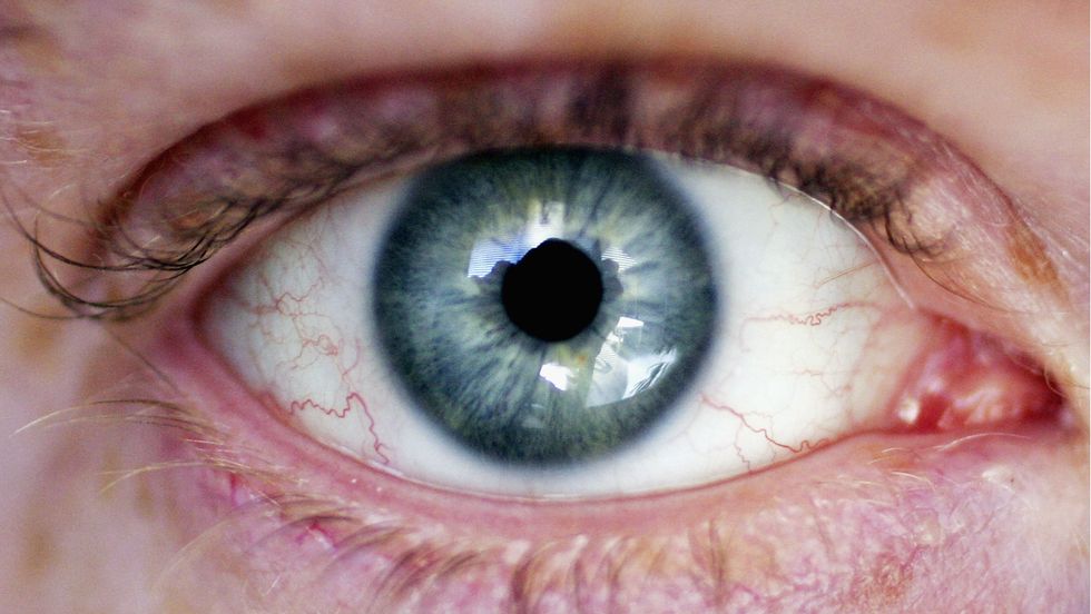 How We Learn to Read Another’s Mind by Looking into Their Eyes