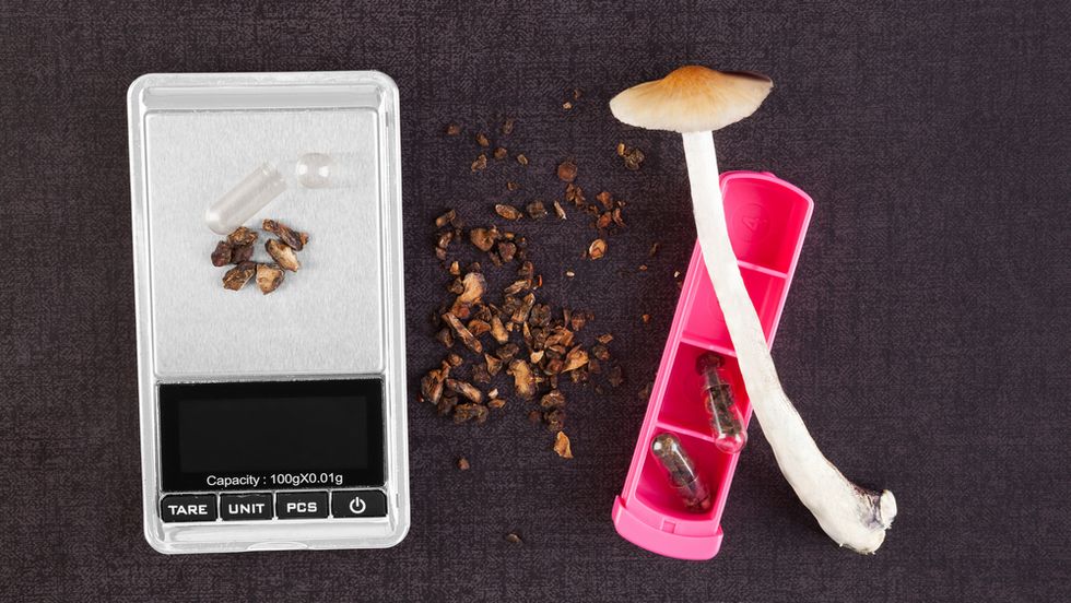Fresh and dry psychedelic psilocybin magic mushroom. (Photo: Eskymaks/Shutterstock)