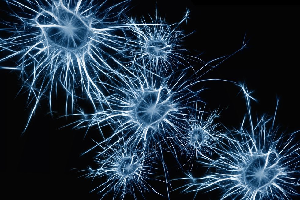 Artist depiction of neurons inside the brain.
