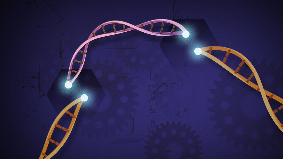 CRISPR rendering