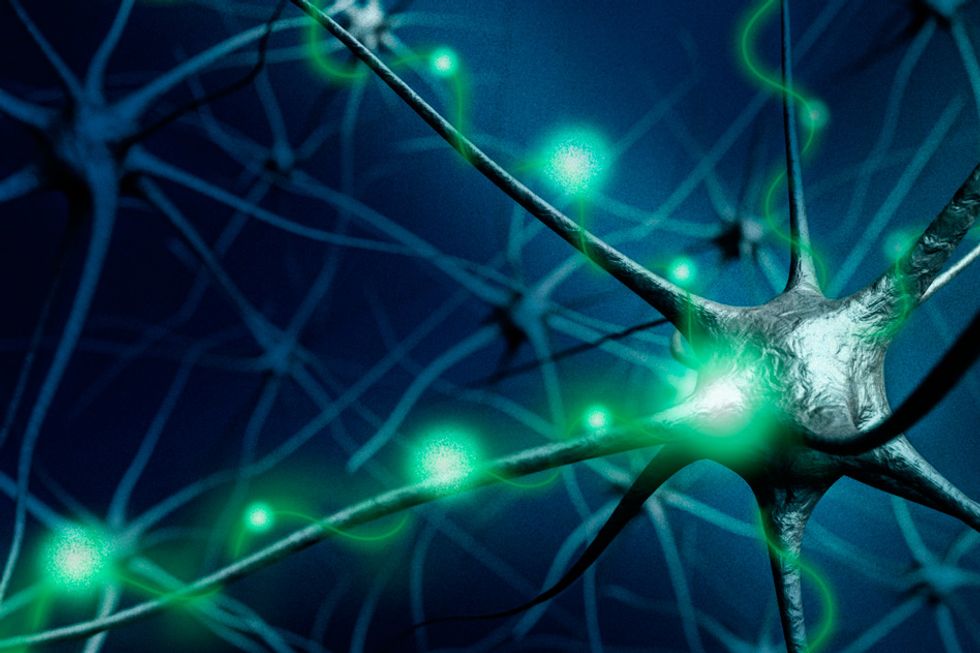 A neuron firing.