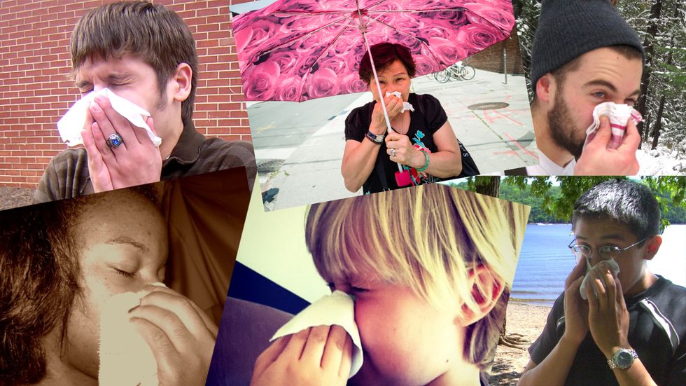 allergy sufferers