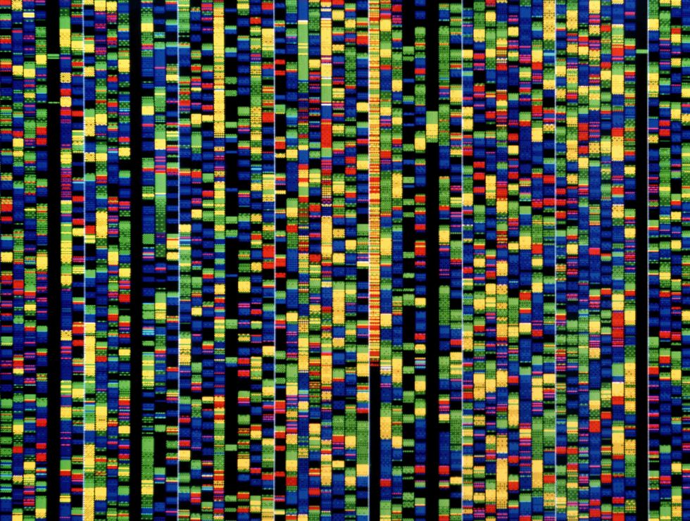 DNA sequencing. Computer screen showing a sequence of base pairs forming part of the human genetic code.