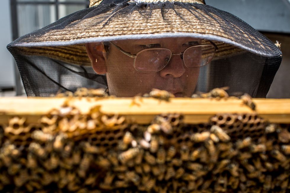 A bee keeper with a hive.