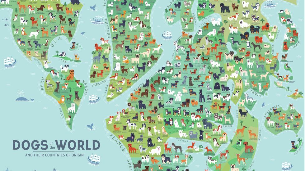 Europe dominates this world map of dog breeds