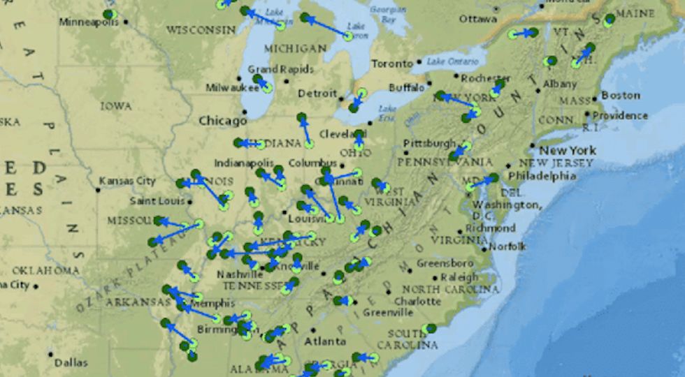 Most evergreen trees are moving north, most deciduous trees are moving west