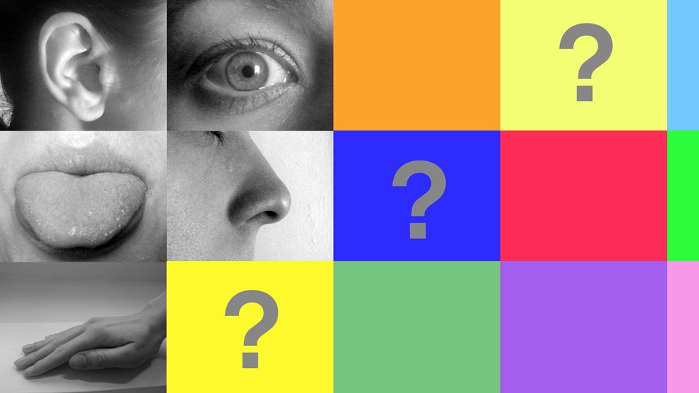 Five senses? That biology textbook is due for an update. (Image: Wikicommons/Big Think)