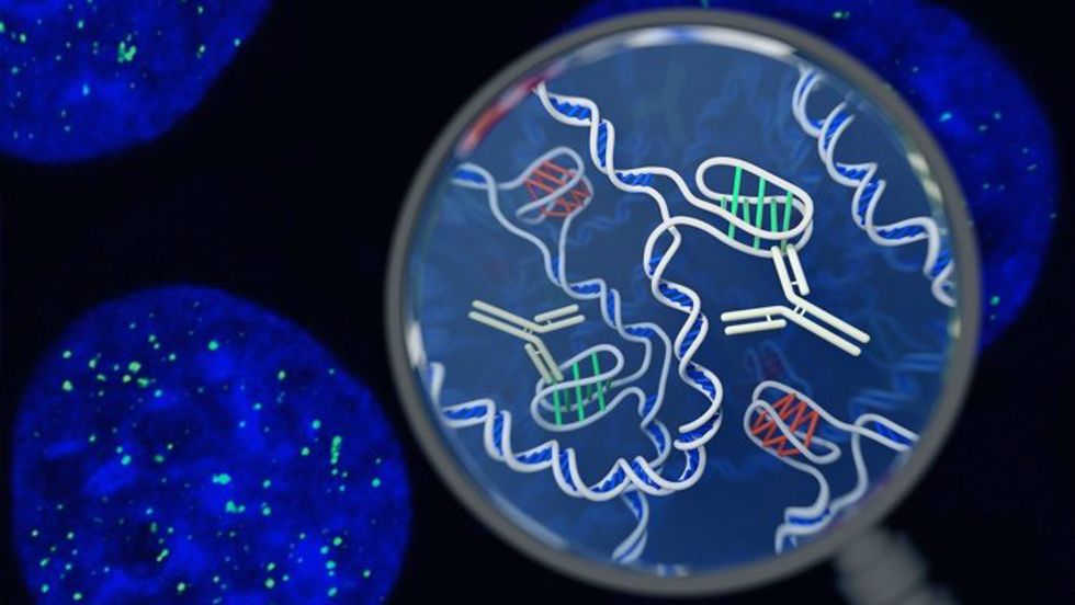 twisted knot dna structure