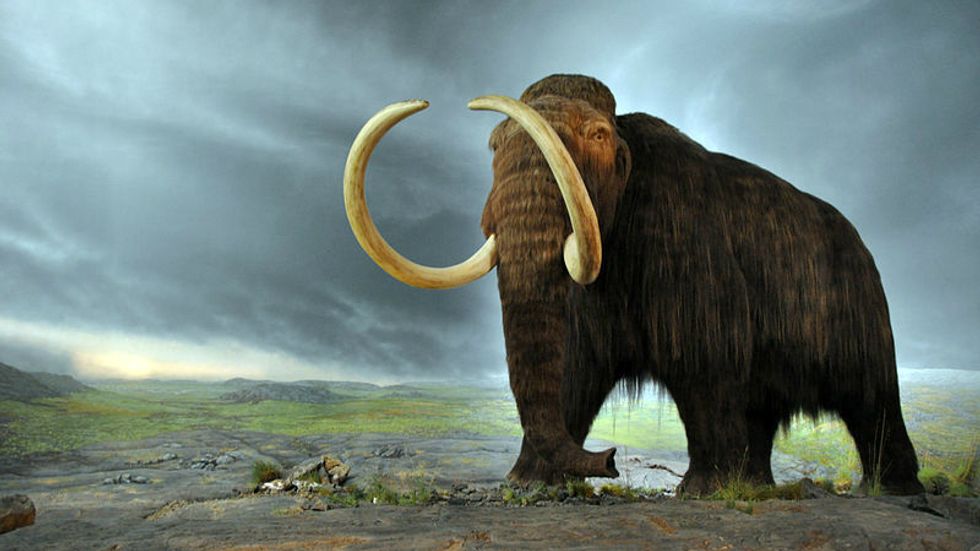Scientists are trying revive woolly mammoth DNA to fight climate change