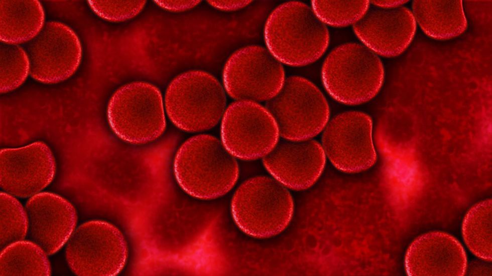 Blood cells can be confused by just a single all-nighter