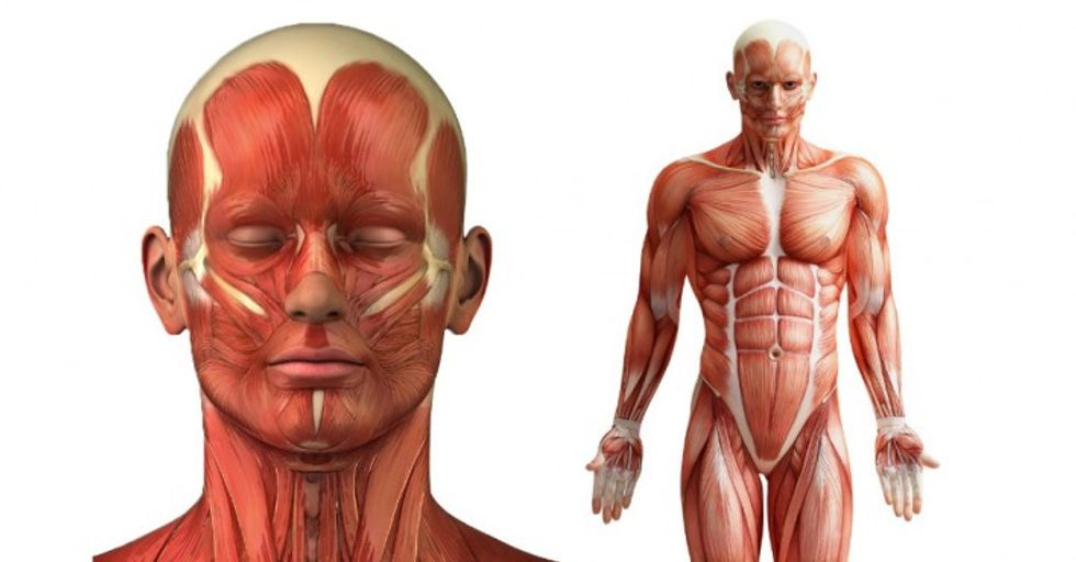 30 Completely Random And Bizarre Facts About Humans To Make You See Life Differently.