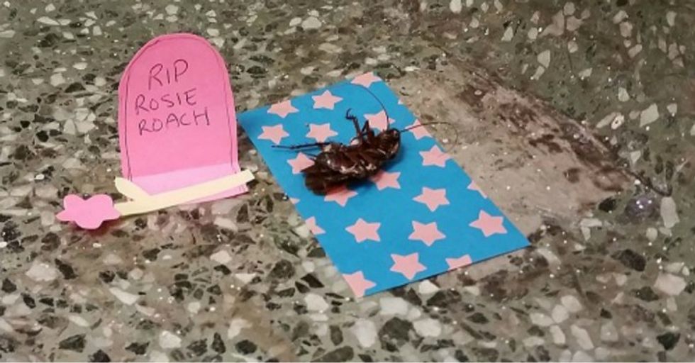 A Dead Cockroach Was Found In A University Stairwell. This Is What Happened Next.