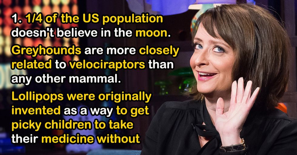 Nerds Share Fake Facts That Sound Like They Could Actually Be Real
