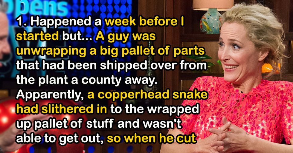 Factory Workers Reveal The Craziest Things They've Seen On The Job