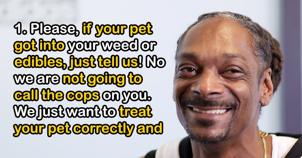 Helpful Veterinarians Share The Most Common Mistakes Pet Owners Make