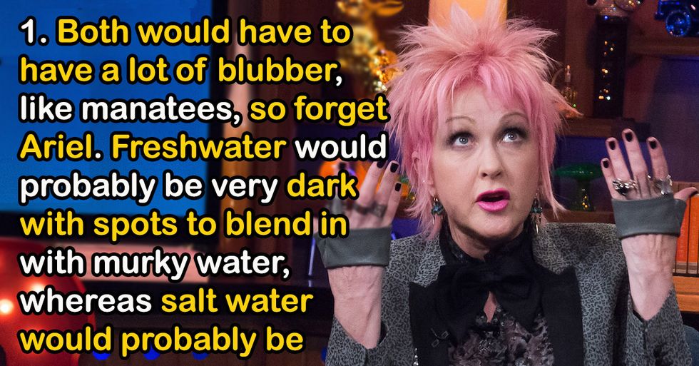 Mermaid Nerds Share The Differences Between Different Kinds Of Mermaids