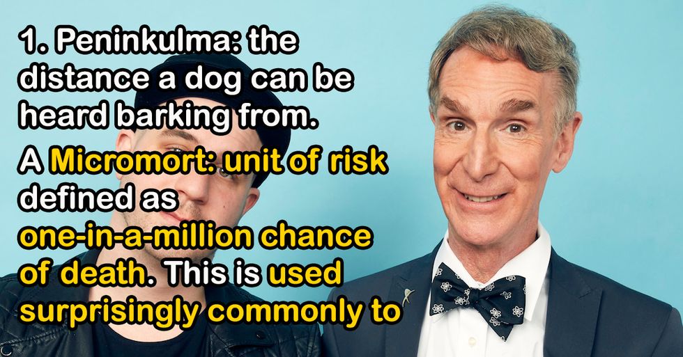 Nerds Share The Weirdest Types Of Measurements You've Probably Never Heard Of