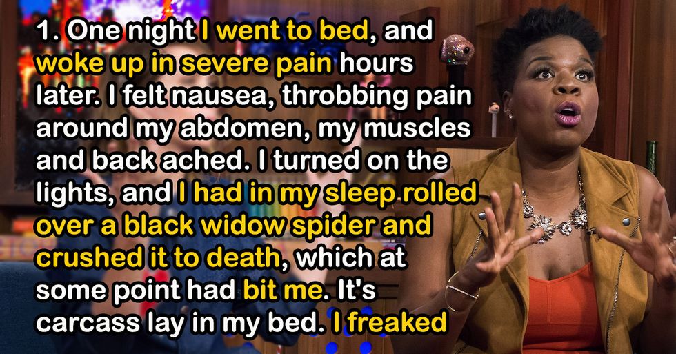 Shaken People Share Their Most Terrifying Encounters With Animals
