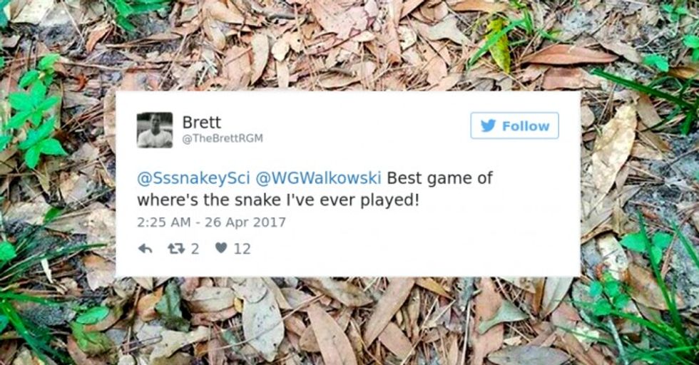 The Internet Is Going Wild Trying To Find The Camouflaged Snake In This Picture – Can You Find It?